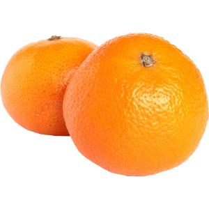 Florida - Tangerine Mandarin Royal