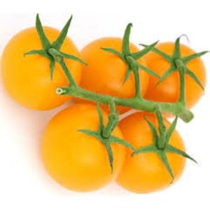Fresh Produce - Tomato Orange