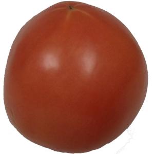 Produce - Tomatoes 5x6