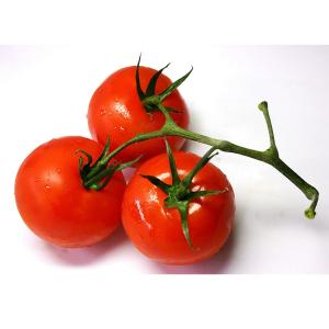 Fresh Produce - Tomatoes Vine Ripe