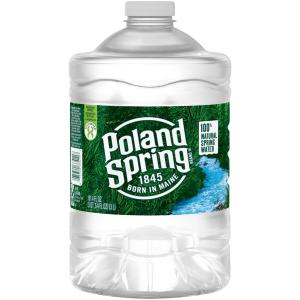 Poland Spring - Water Pet 3 Liter