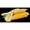 Fresh Produce - Corn Yellow